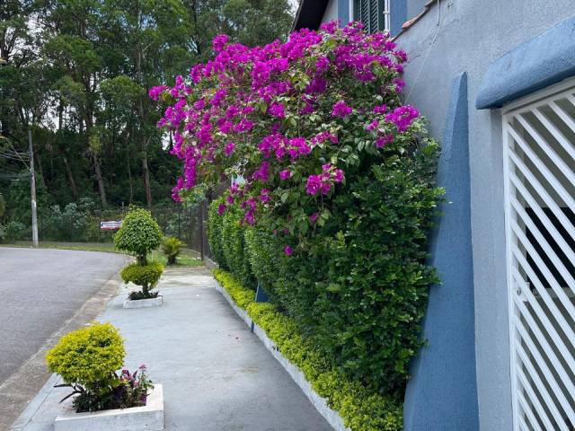 #70 - Sobrado para Venda em Santo André - SP - 3